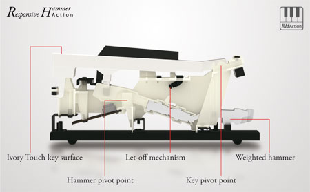 Kawai K Vs Yamaha B Kawai K Vs Yamaha B