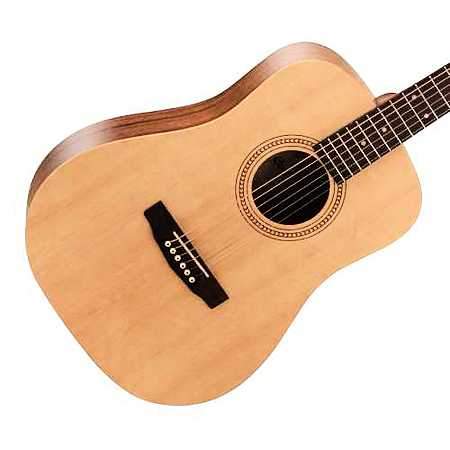 Cort Earth 50 W-Git 7/8 Easy Play