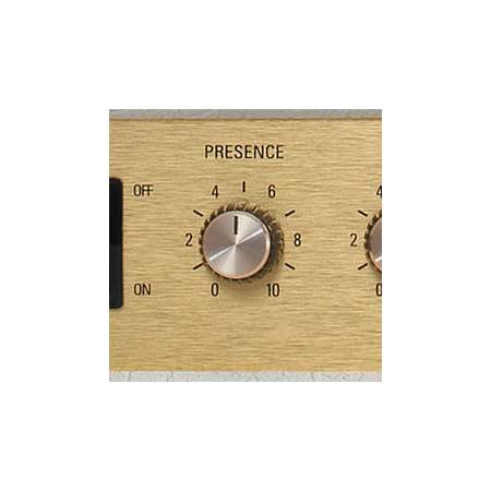 Marshall V4 Potiknopf gold