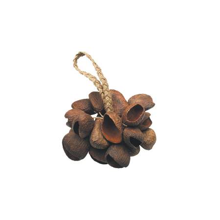 Toca T-SS Seed Shell Shaker