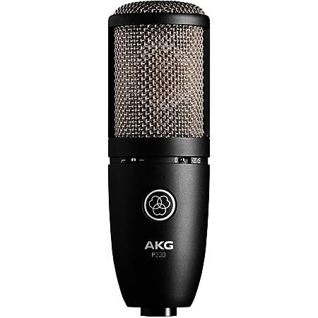 AKG P 220