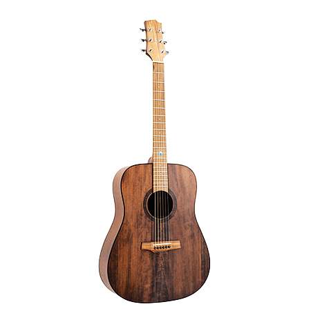 Randon RGI-10VT Westerngitarre