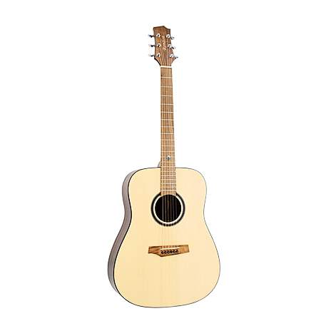 Randon Guitars RGI-20 Westerngitarre