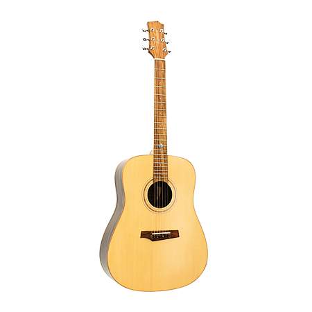 Randon Guitars RGI-60 Westerngitarre