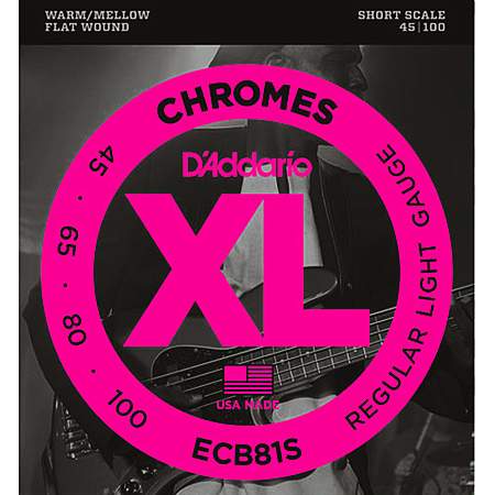 D'Addario ECB81S Chromes Bass Saiten 045-100