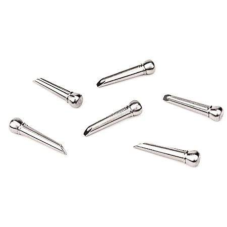 D'Addario Bridge Pin Set Titanium PWPS13