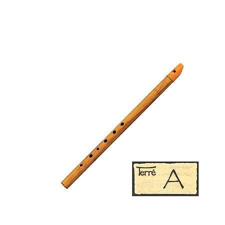 Terre Irish Whistle Ton A