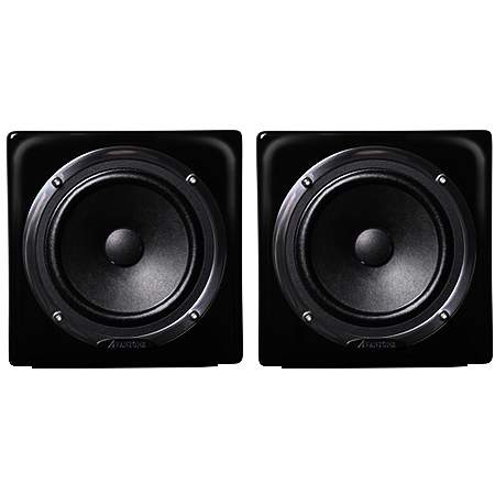 Avantone Passiv Mix Cube Paar Schwarz