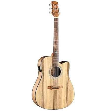 Randon Guitars RGI-PW1CE Dreadnought