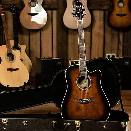 Takamine Custom Ltd. Dreadnought VTS