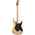 Charvel ProMod So-Cal HH HT MN NAT ASH Esche