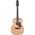 Ibanez AAD1012E-OPN Acoustic 12-String