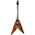 Schecter V-1 Electro Resin, Gloss Natur Flying V