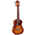 Ortega RUDAWN Concert Ukulele