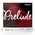 D'Addario J810 1/4M Prelude Violin Saiten
