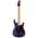 ESP LTD SN-200HT DMPS