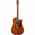 Fender CD-140SCE Dreadnought All Mahogany inkl Koffer