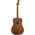 Fender Redondo Special All Mahogany inkl Bag