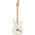 Fender Standard Stratocaster MN OWT