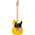 Fender Standard Telecaster MN BTB