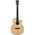 Ibanez AEG200-LGS Westerngitarre