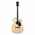 Ibanez PF15ECE-NT Westerngitarre