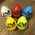 J&M Shaker Egg 5 Stück Set  (Rot,Weiß,Grün,Blau,Gelb)