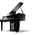 Kawai NV-12 Novus Hybrid Piano - inkl. Aufbau