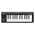 Korg microKEY 25 USB/MIDI Keyboard