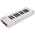Arturia MicroLab MK3 White 25 Tasten
