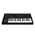Moog Messenger