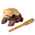 Nino Frosch klein natur