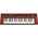 Yamaha Reface YC Electric Combo Organ
