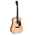 Sigma DM Dreadnought