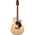 Takamine GN51CE NAT NEX/C Westerngitarre