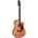 Takamine Limited 2022 Classical - 60th