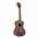 Gewa Manoa KT CO Mexico Concert Ukulele