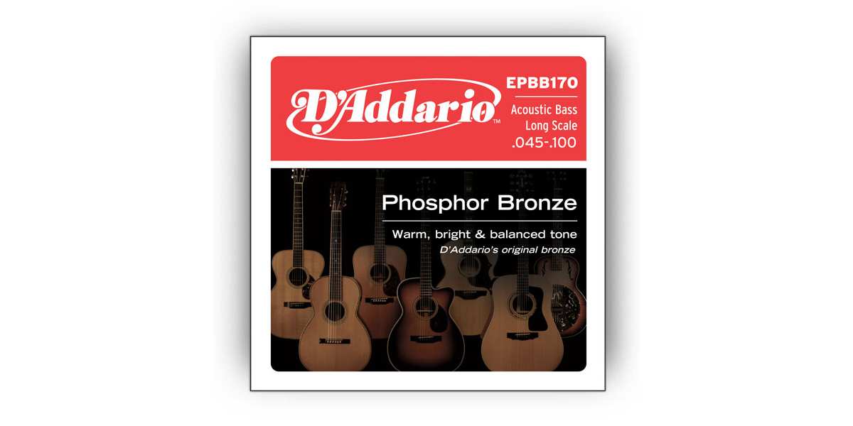 D'Addario EPBB-170 Akustik Bass Saiten 45-100