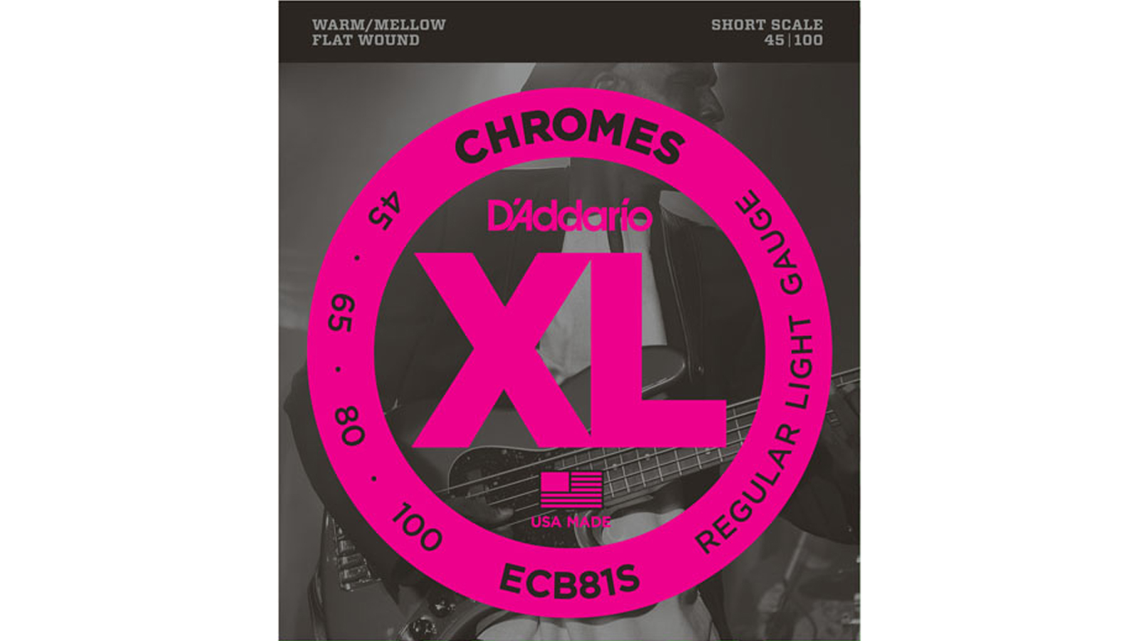 D'Addario ECB81S Chromes Bass Saiten 045-100