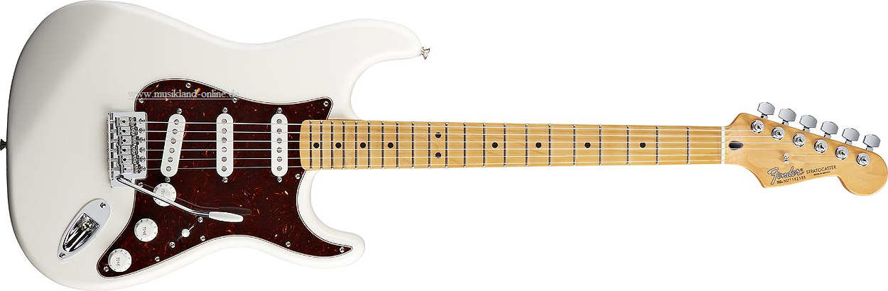 Fender DLX Roadhouse Stratocaster MN AWH