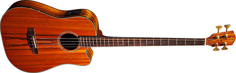 Fender Victor Bailey Acoustic Bass 4-Saiter