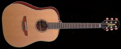 Takamine AN-10 X Westerngitarre