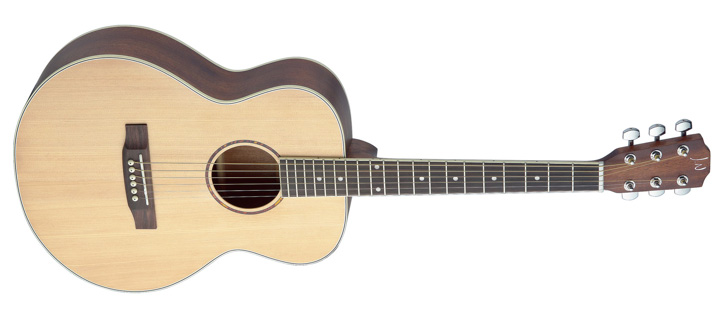 James Neligan Travel Acoustic Westerngitarre