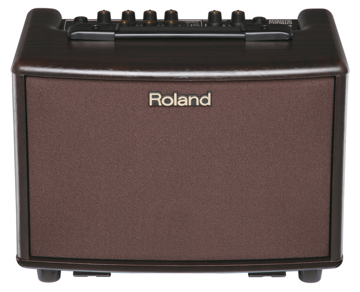 Roland AC-33 RW Acoutstik Amp stereo