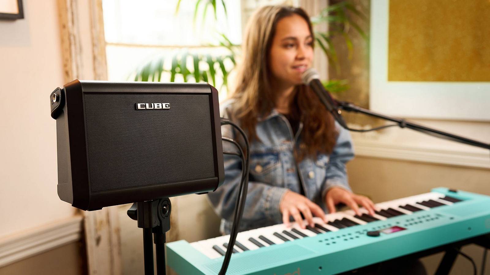 Roland CUBE Street mini