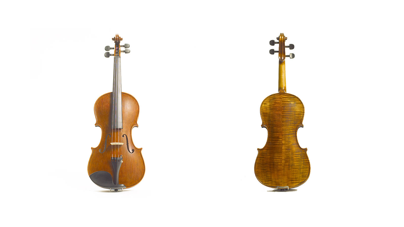 Stentor Violine 4/4 Elysia Handmade ProSeries