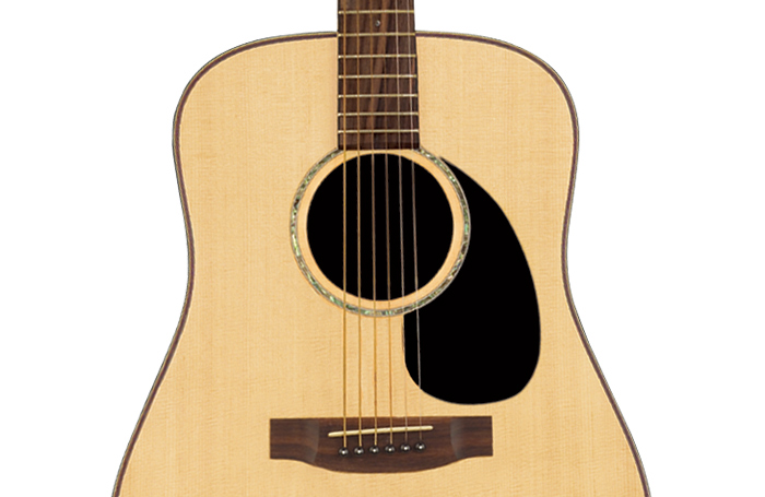 Takamine G-340 S NS Westerngitarre