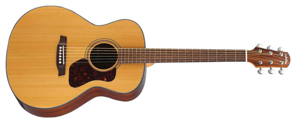 Walden CG-530 Concorda Westerngitarre