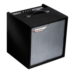 Ashdown Perfect Ten Bass Combo