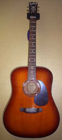 Blueridge BR-60 AS 
